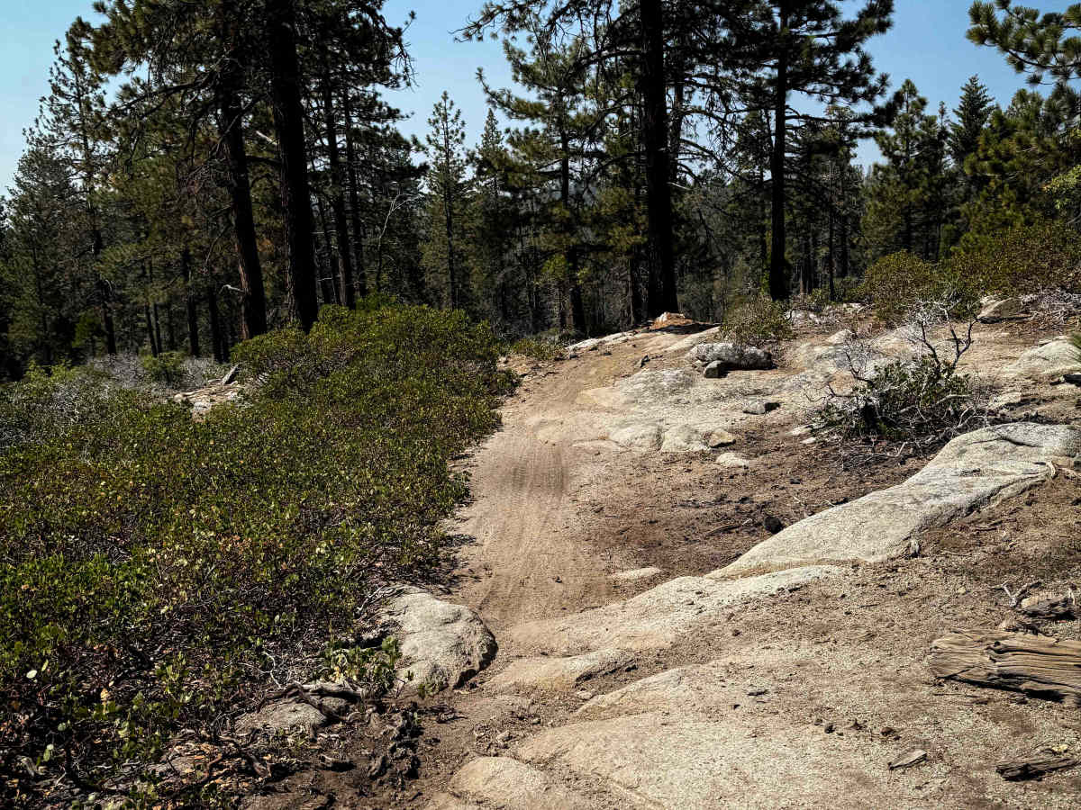 23E293 trail photo