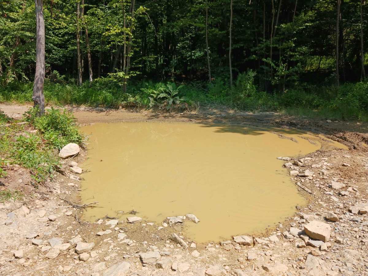 Pine Lane - Rock Run Recreation Area photo 5
