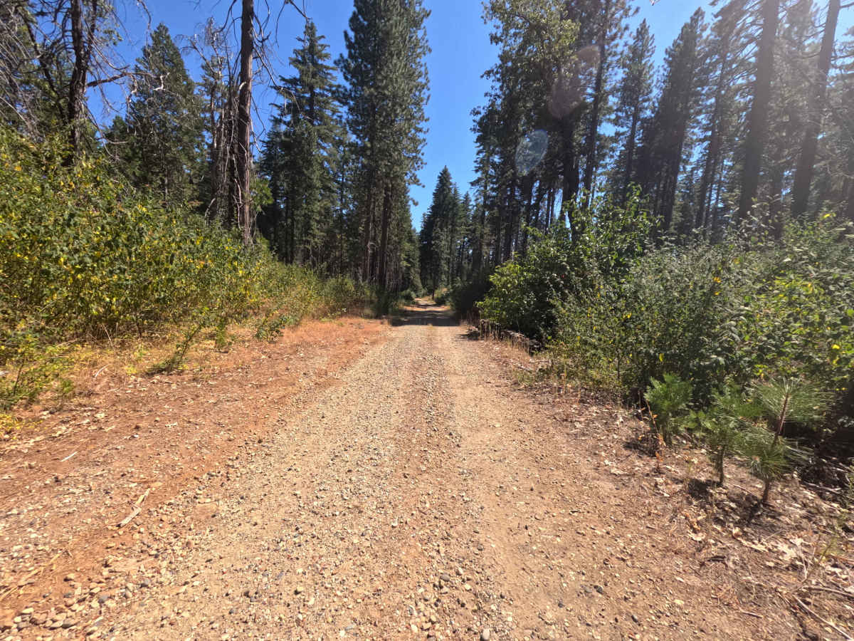 Upper French Creek - FS 21N56 photo 3