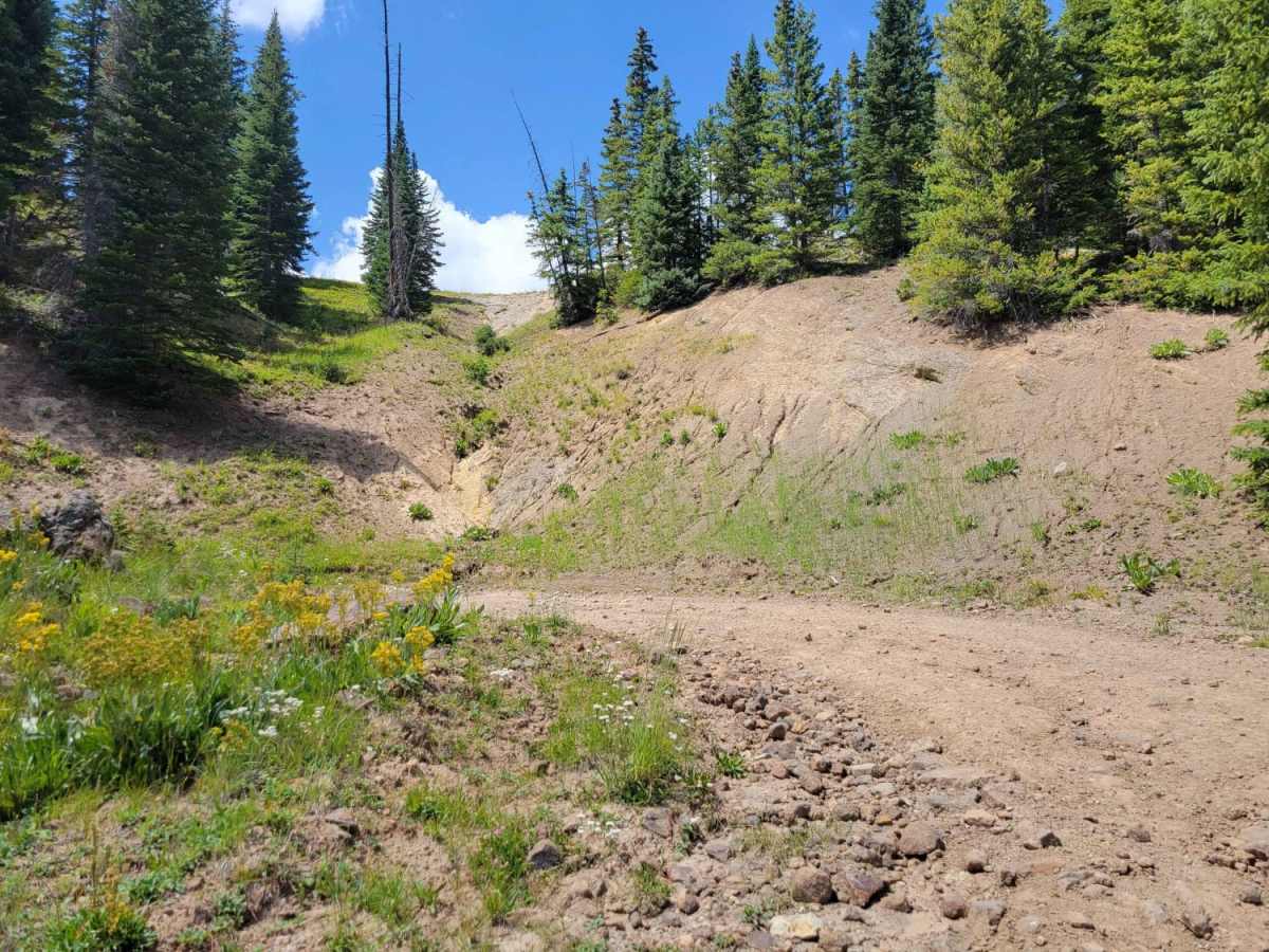 Double Creek Loop trail photo