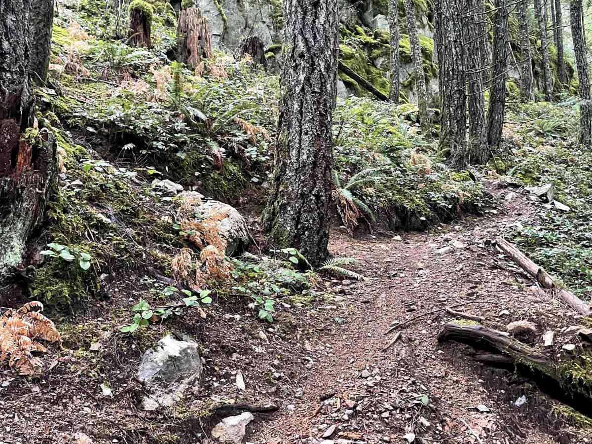 Trials Trail photo 2