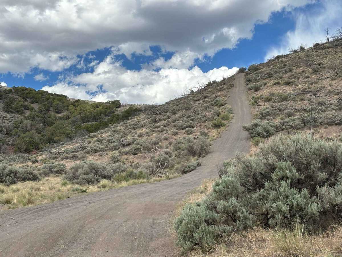 No Name Hill photo 4