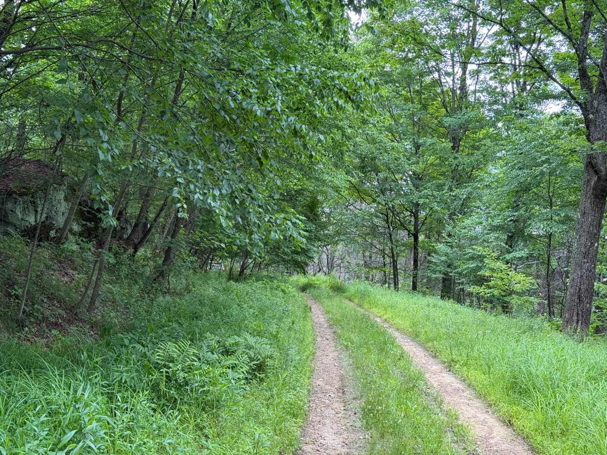Barker Trail photo 5