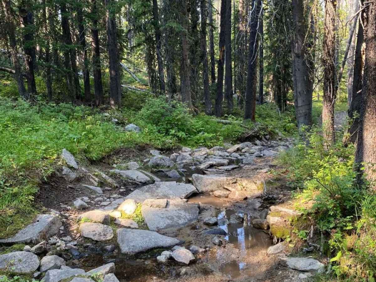 Thompson Lake photo 3