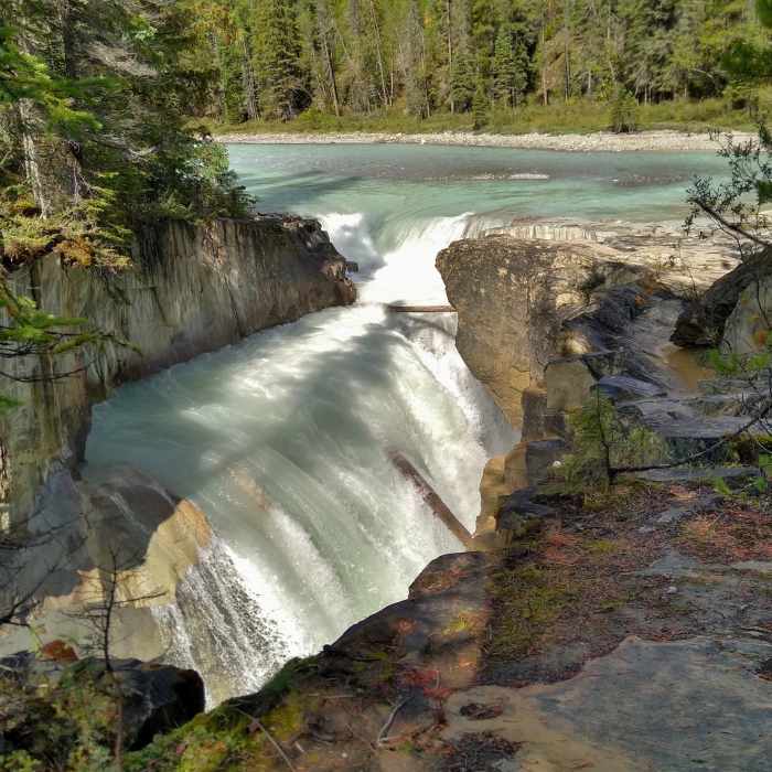 Near Thompson Falls Trail