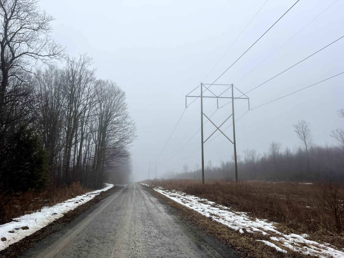 Powerline Road photo 3