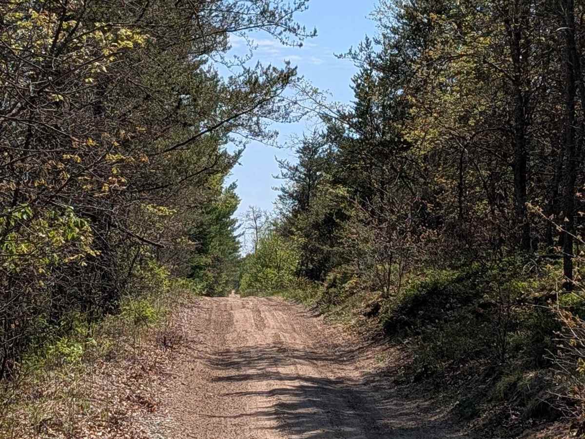 Spencers Trail photo 2