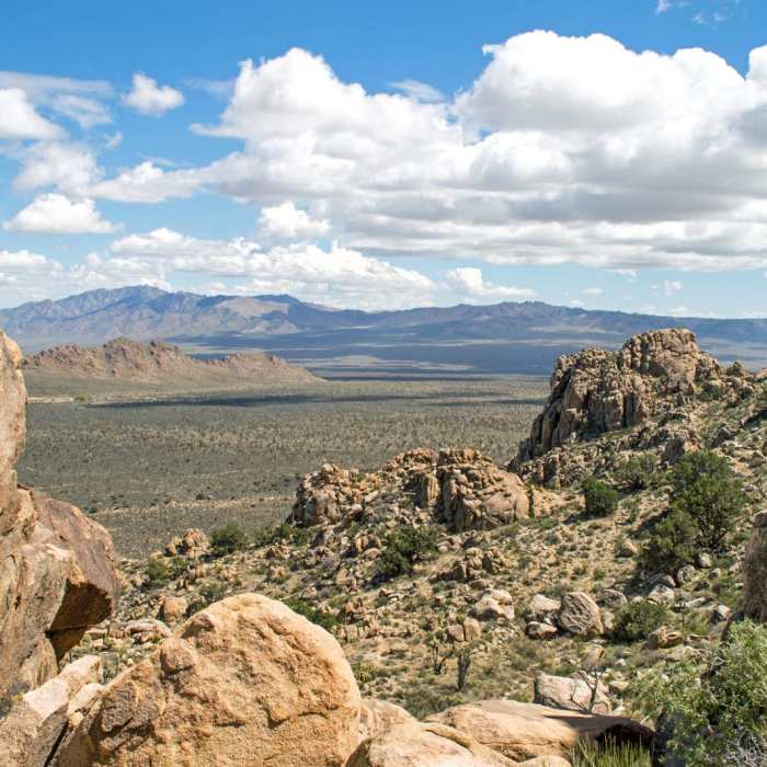 Near Teutonia Peak Trail