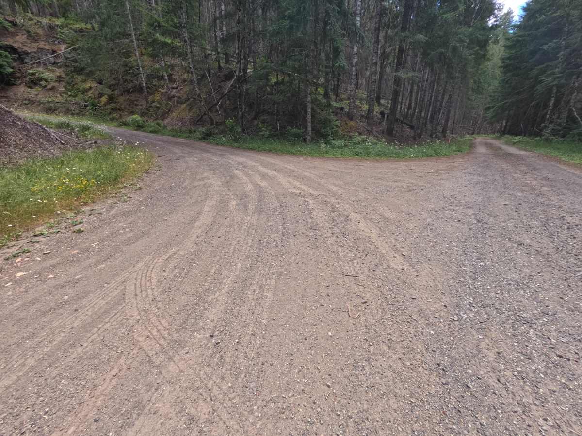 Bluff - FS 4612000 photo 3