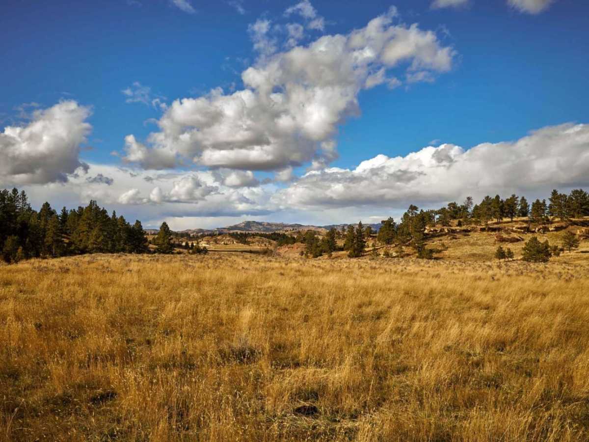 FSR 47781 trail photo