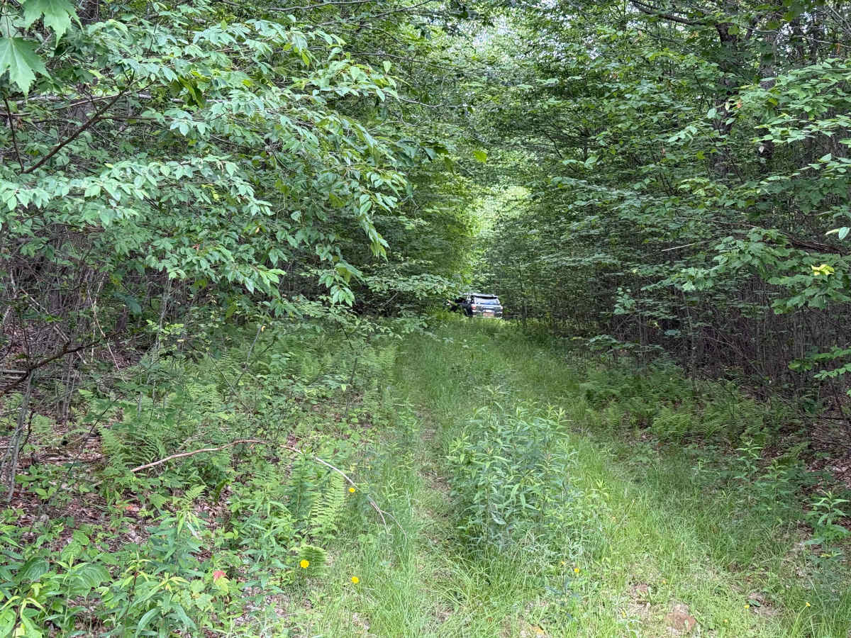Barker Trail trail photo