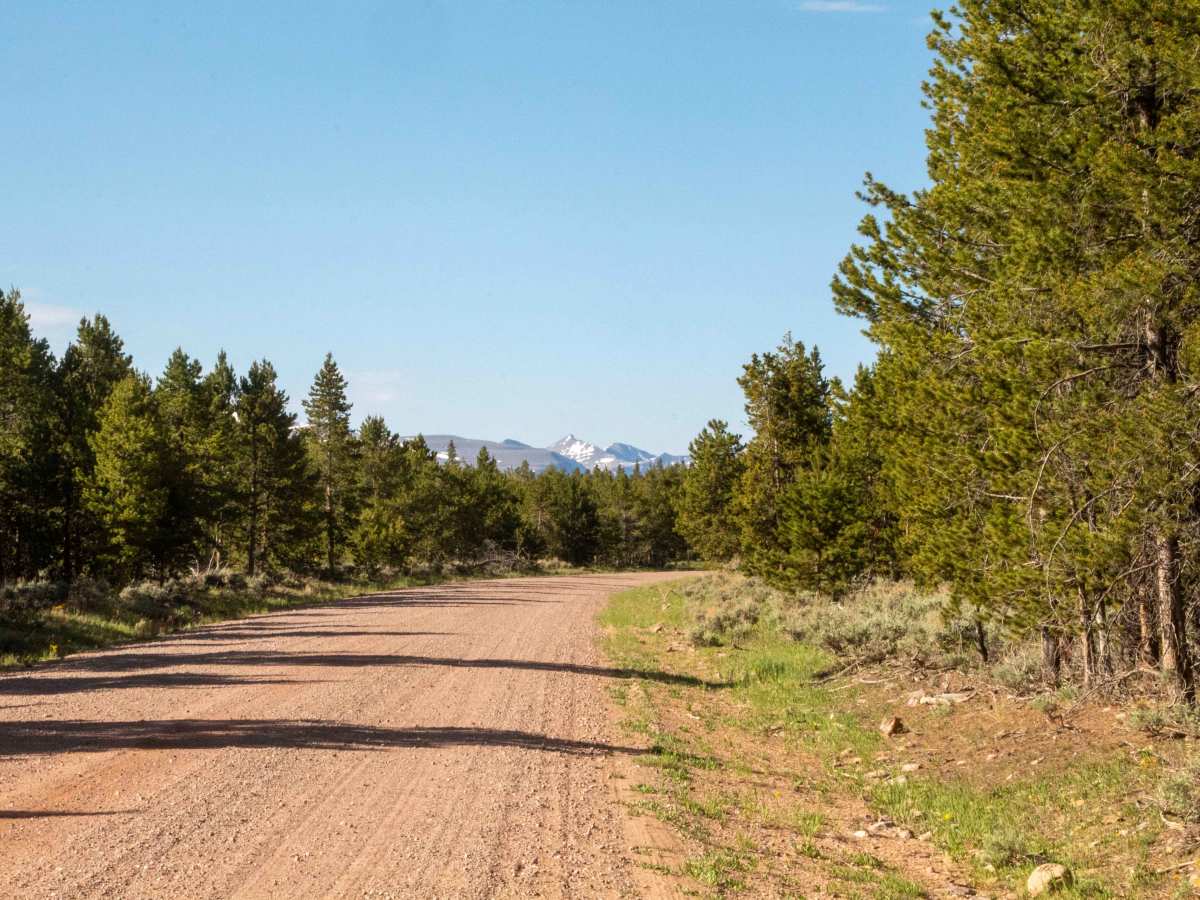 Red Mountain - FS 80017 photo 2