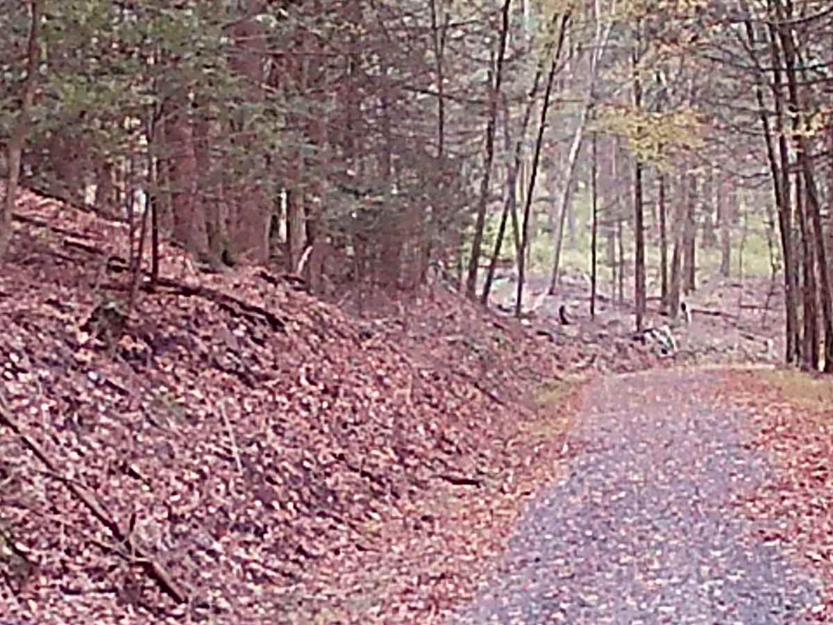 Hancock Road photo 3