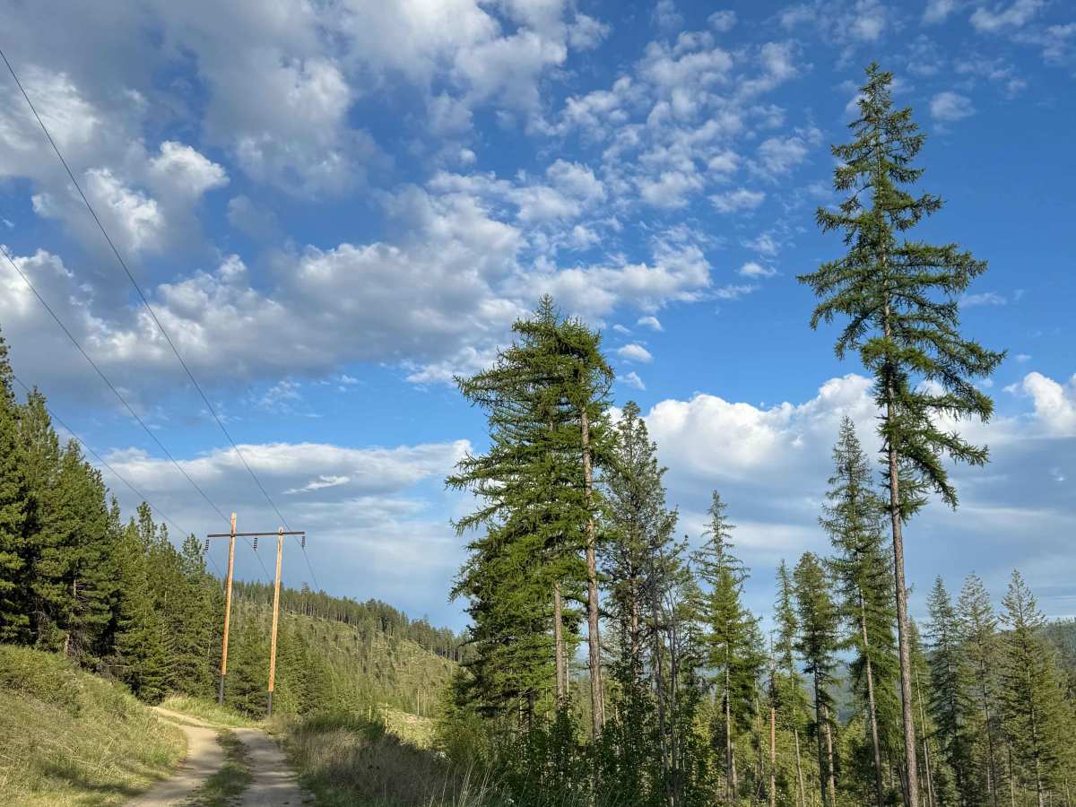 Old Sherman Highway trail photo