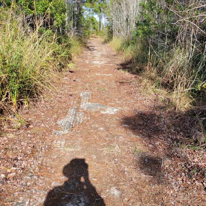 This spot could be underwater if there has been rain in the past week. Near White Loop
