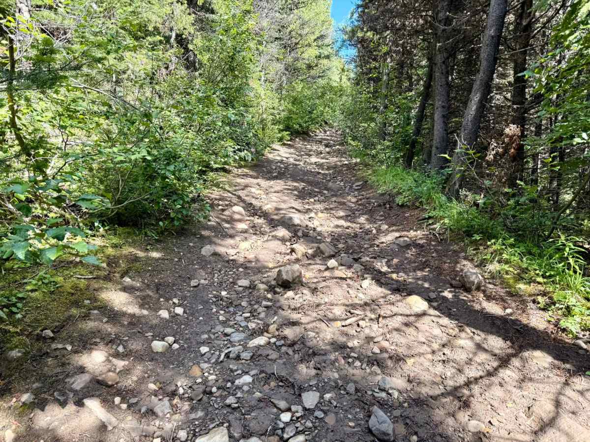 Mount Hamell Route photo 6