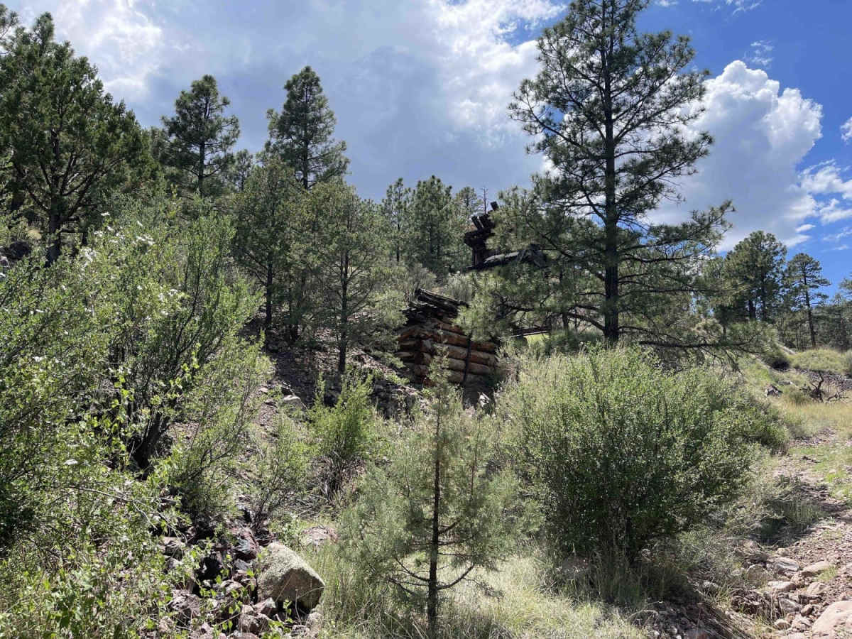 Molino Peak Trail photo 5