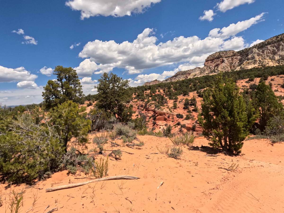 Diana's Throne - BLM 106V trail photo