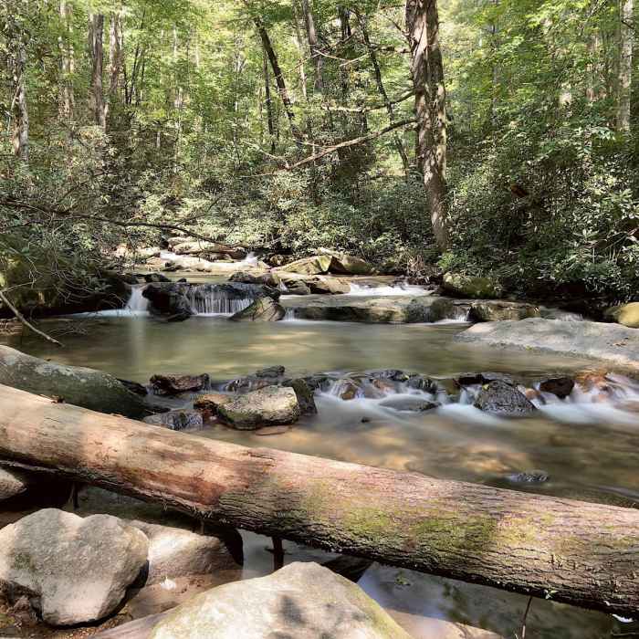 Near Twin Falls Near Twin Falls