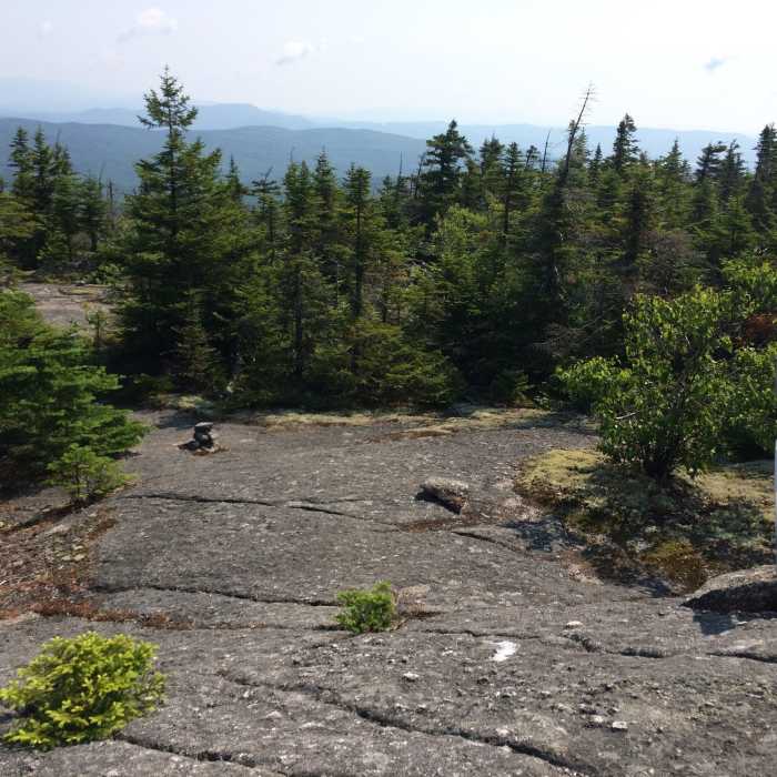 The junction between Skyland and Vistamont Trail on the summit of Gilman Mtn (photo looking east down Vistamont Trail). Near Skyland Trail