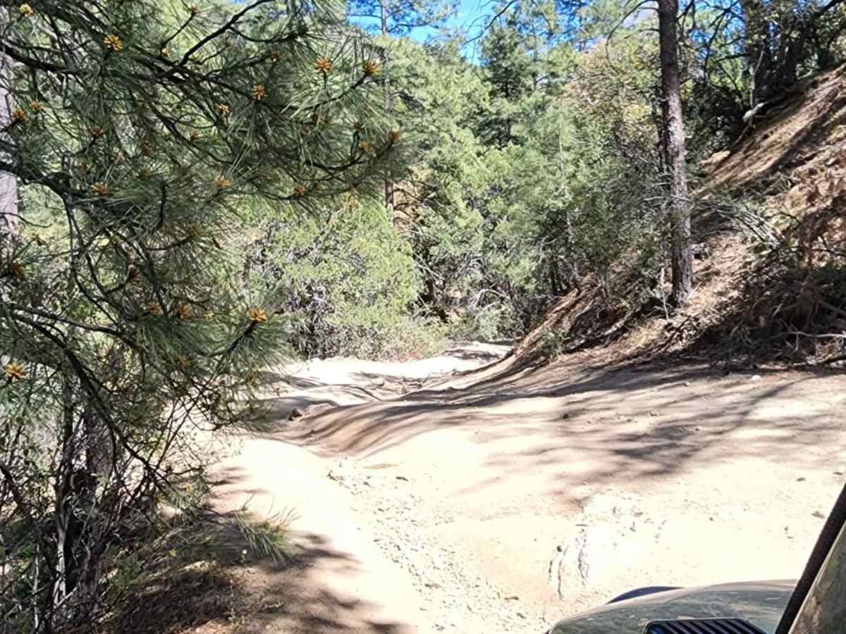 Copper Creek photo 6
