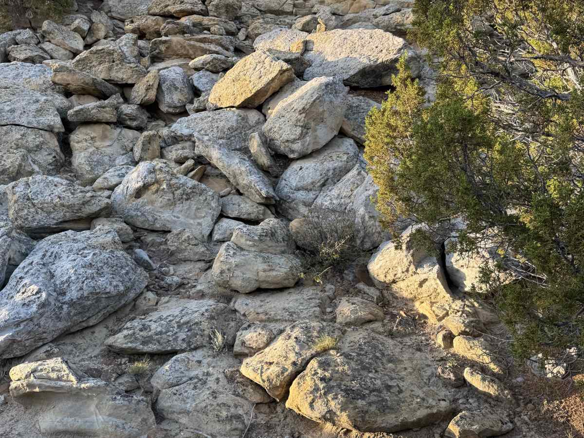 One Mile Trail photo 3
