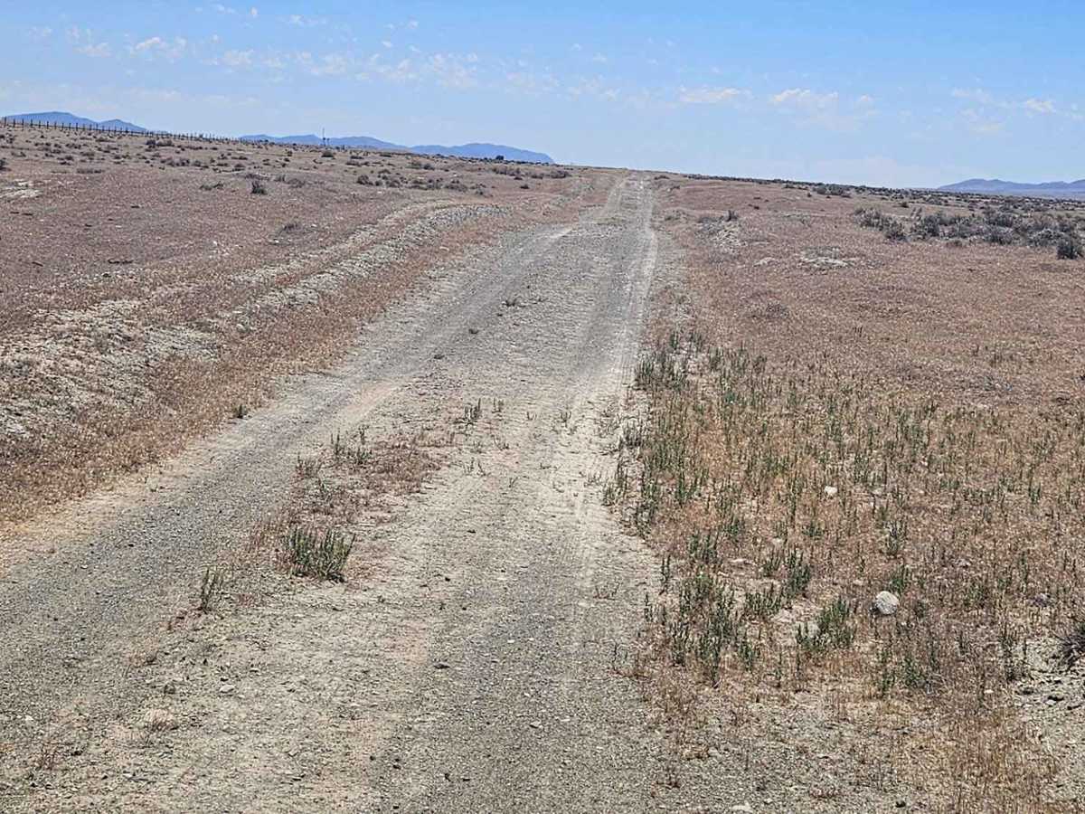 Gold Digger's Trail trail photo