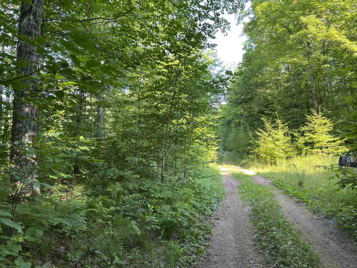 Camp Hayes Road photo 2