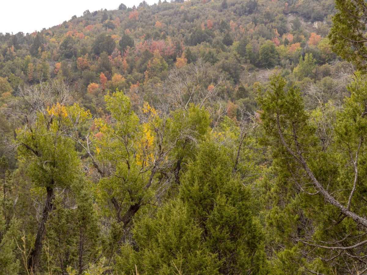 Willow Creek Road photo 2
