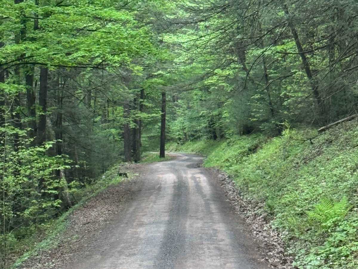 Joerg Run Road photo 4