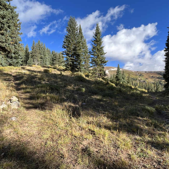 Near 4 Baldy Peak Bonanza