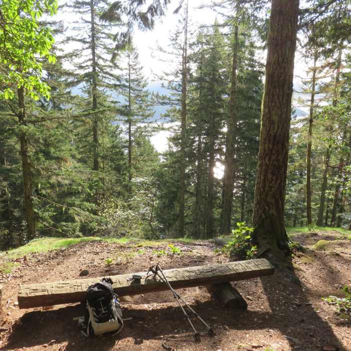 Near Mt. Rose Loop Trail #814