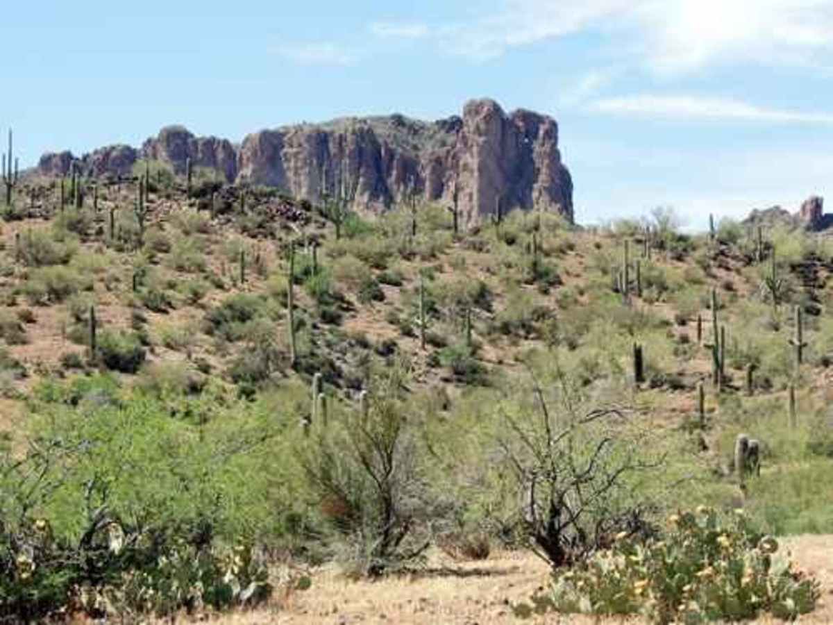 Castle Hot Springs Road photo 3