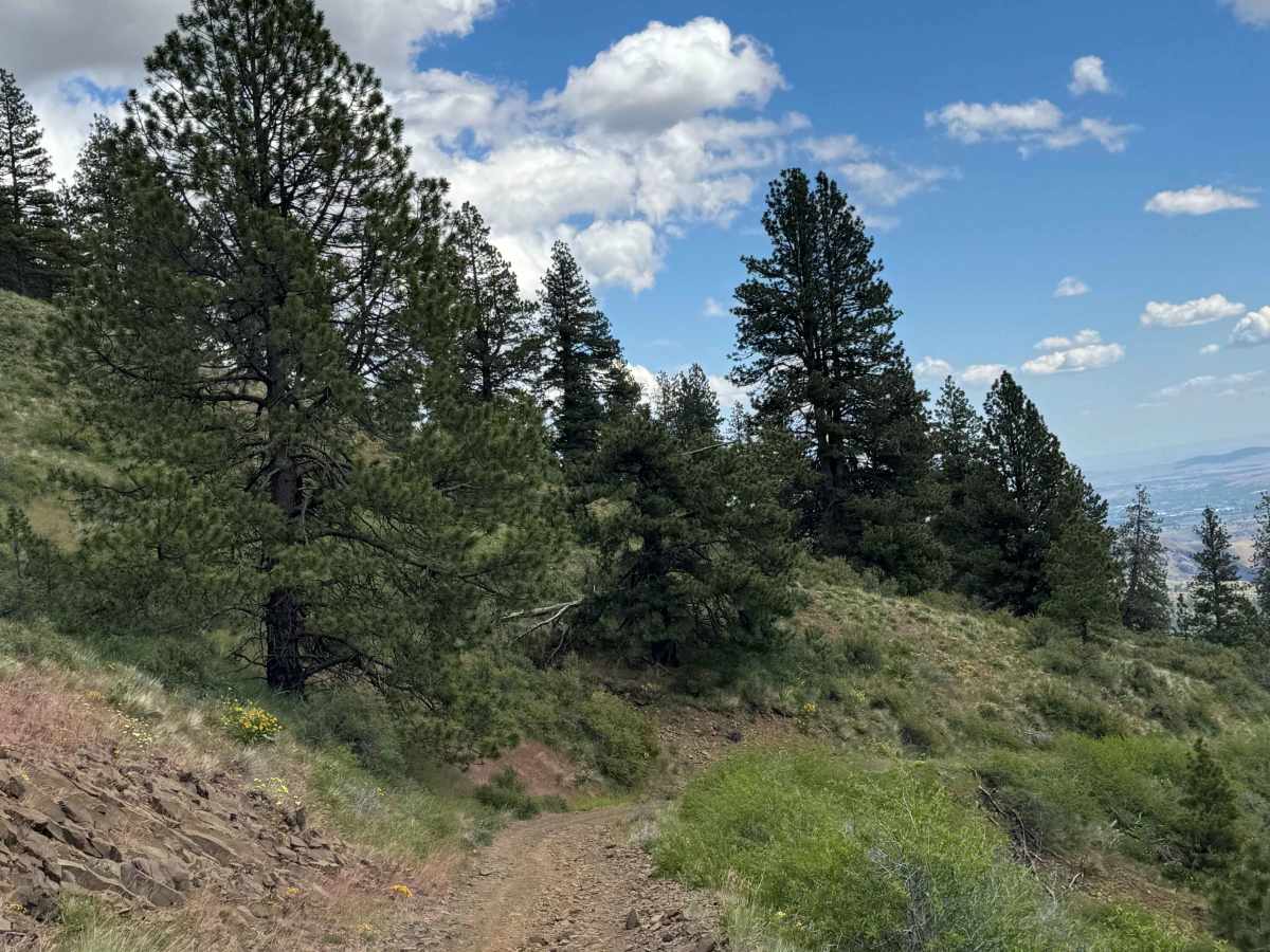 Mud Lake Road photo 2
