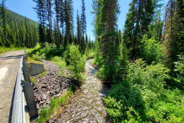 Red Meadow Creek