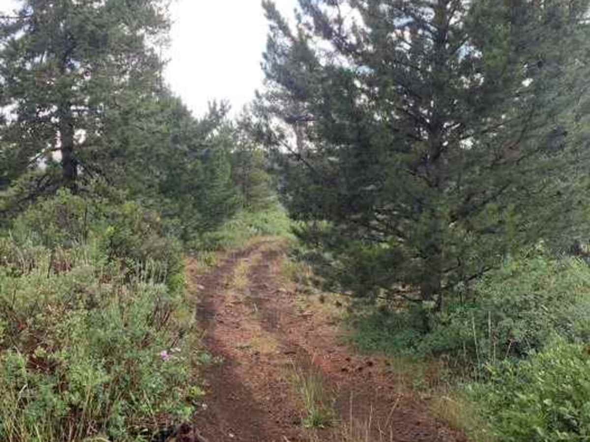 South Hills Adventure Loop photo 3