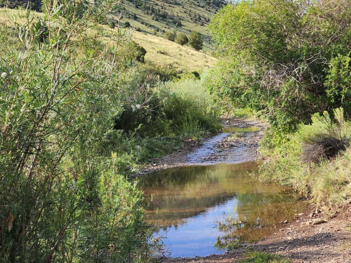 Lone Rock trail photo