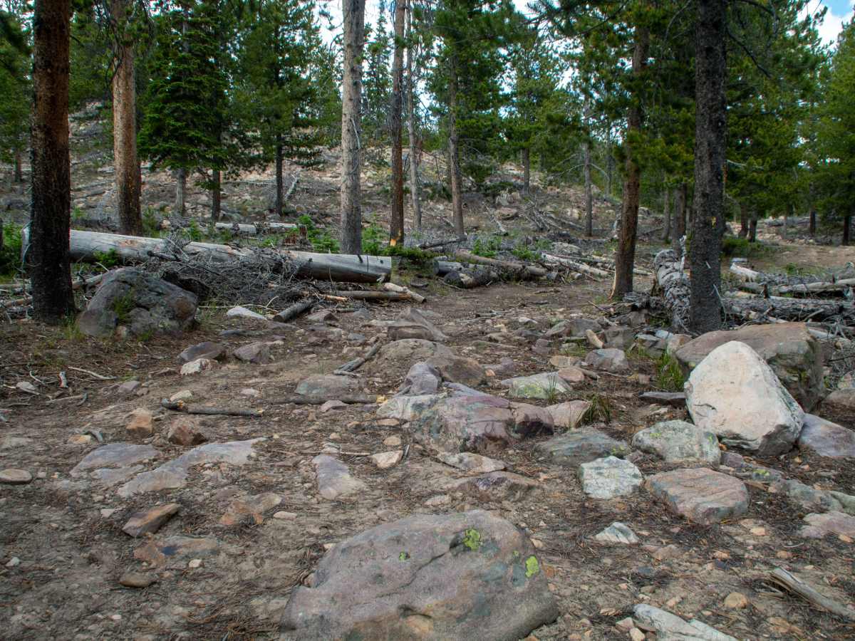 Spring Canyon 1 - FS 80935 photo 4
