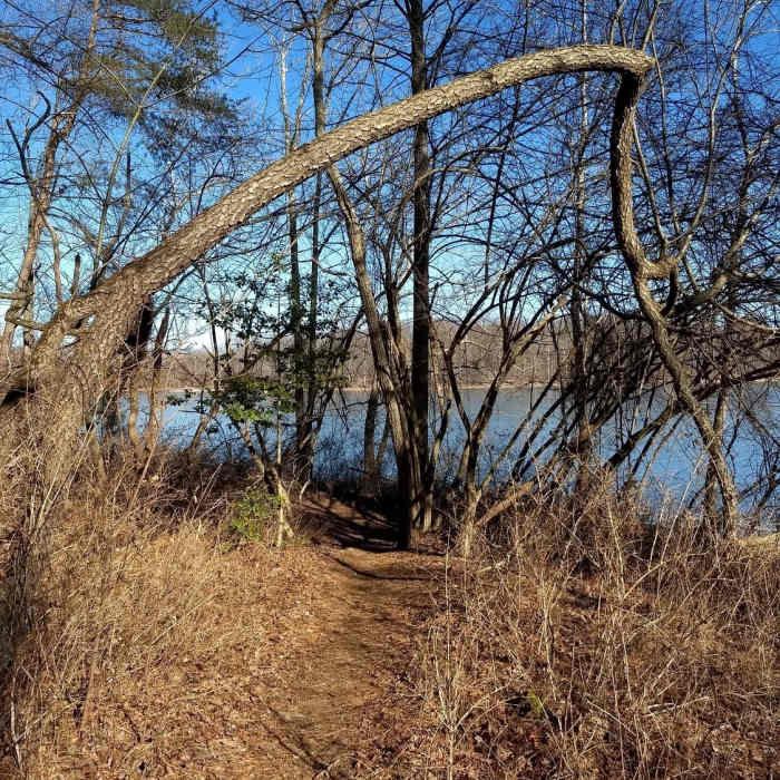 Near Loch Raven Seminary Scenic Loop