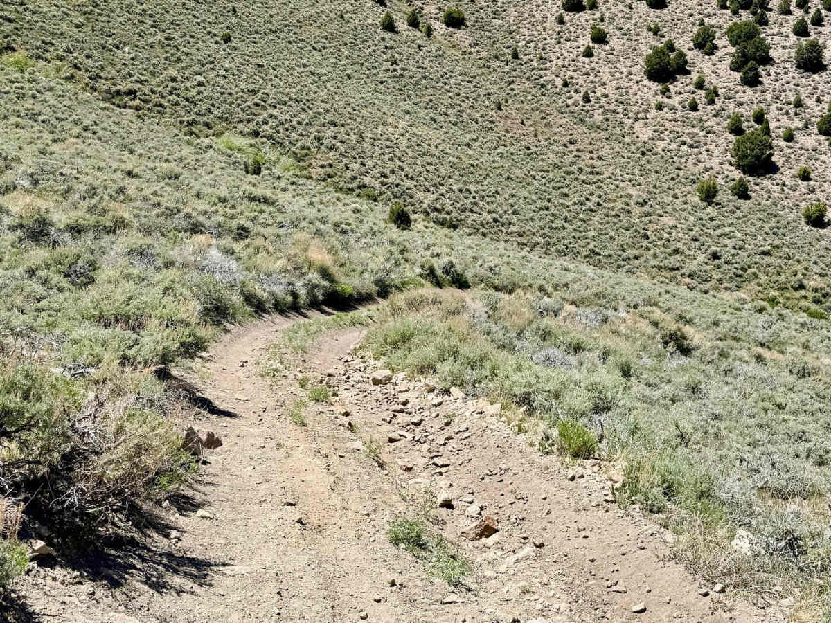  Brock Canyon - FS 43292 photo 5