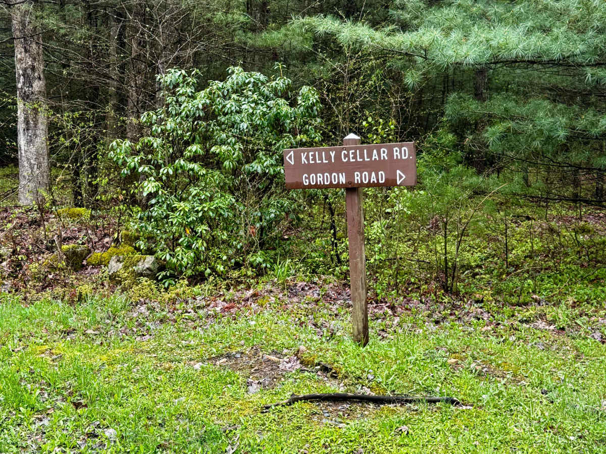 Kelly Cellar Road trail photo