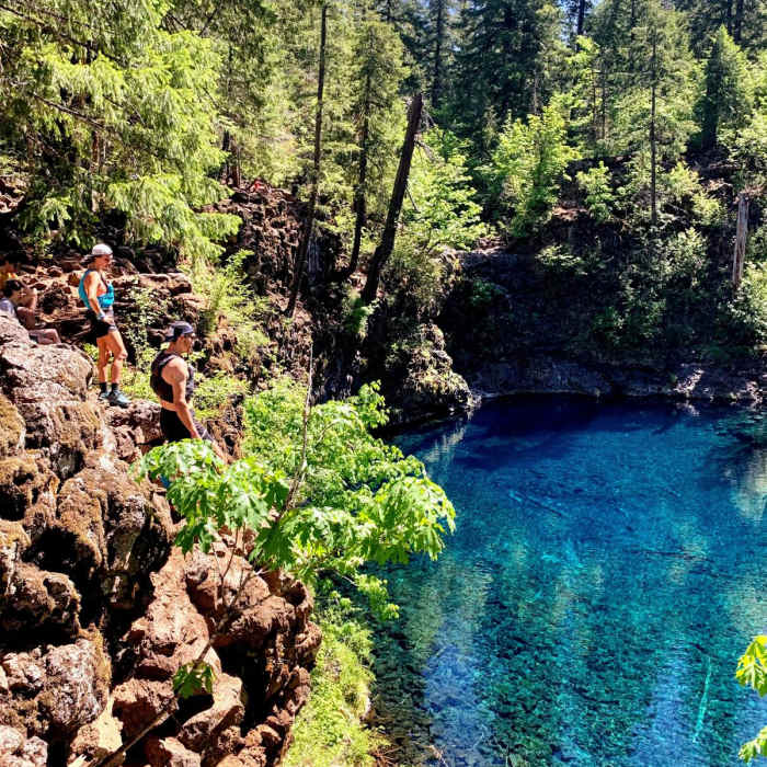 Near The McKenzie River National Recreation Trail (No. 3507)