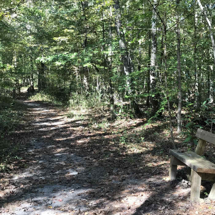 One of three benches along trail, the only little foot bridge over a ravine ahead, just right is road with thin buffer of trees and for the most part the trail is like this except by the river a few more roots to watch for. Near Old Loop Trail