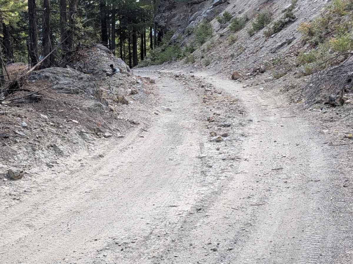Kerlin Creek Road - FS 3N14  photo 4