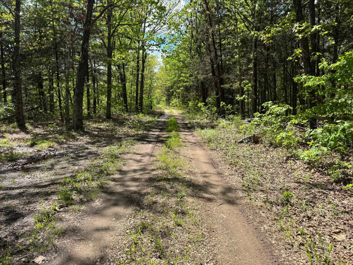 Cave Springs Spur A photo 3