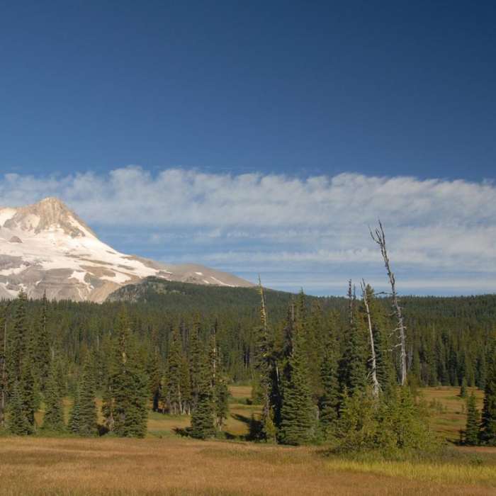 Near Gnarl Ridge Hike