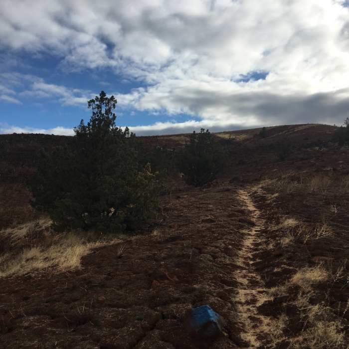 Near Kah-Nee-Ta Tour