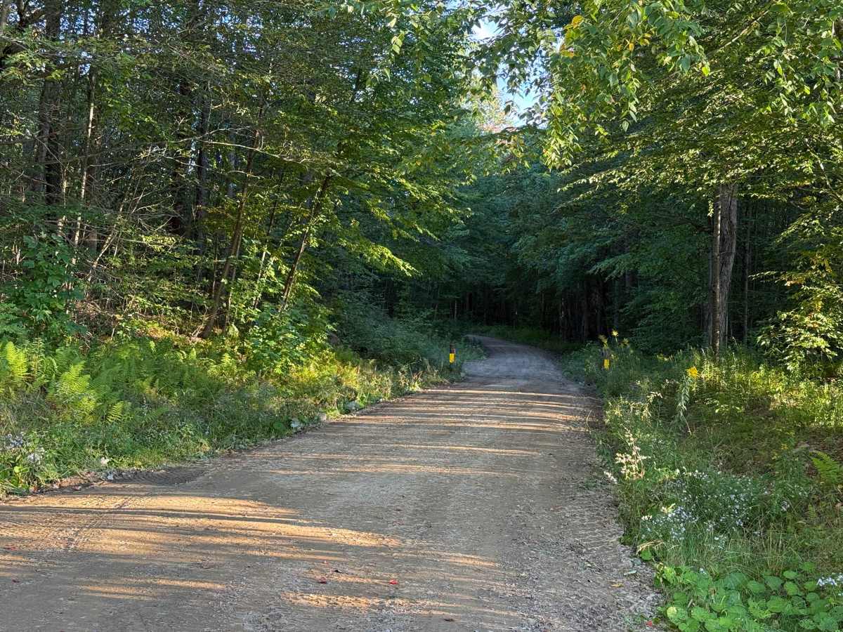 Crary Run - FS 85003 trail photo