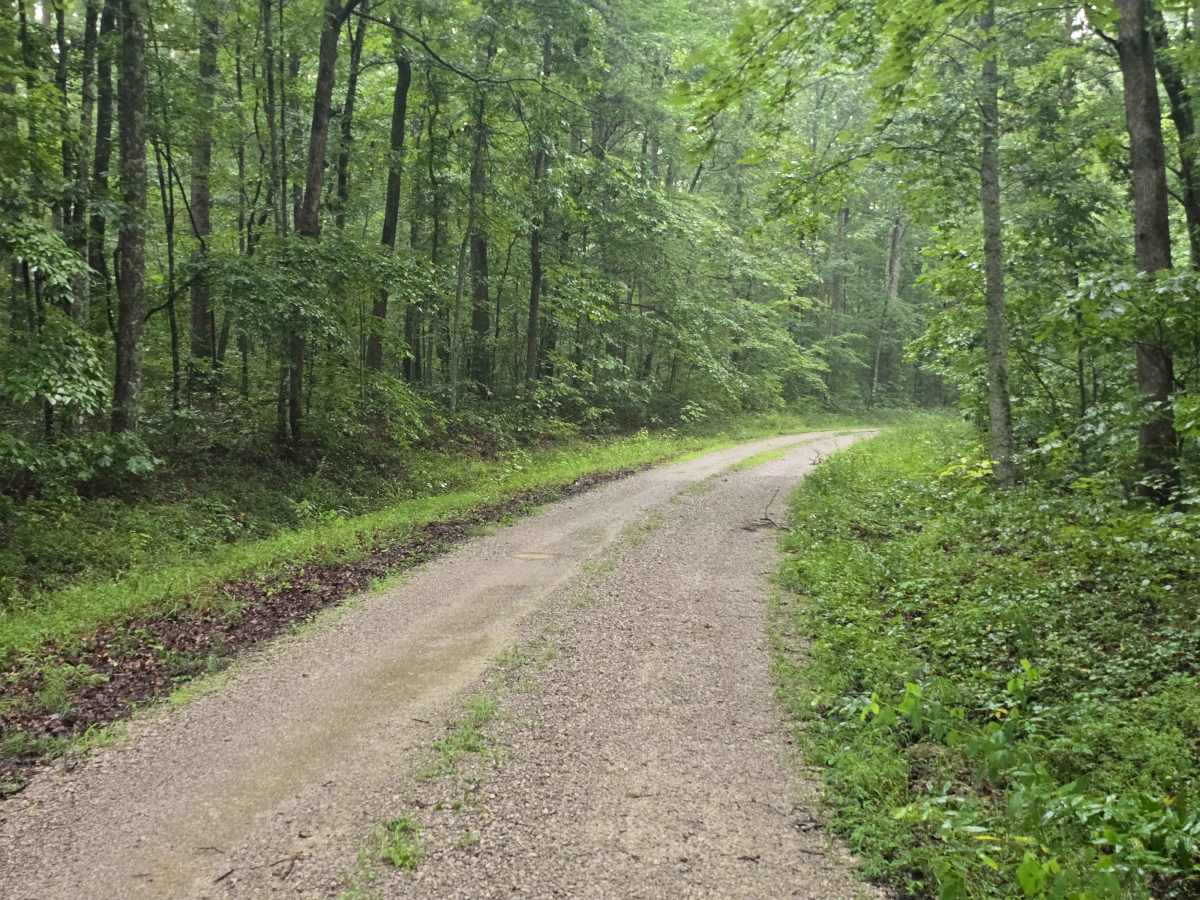 Divide Road photo 4