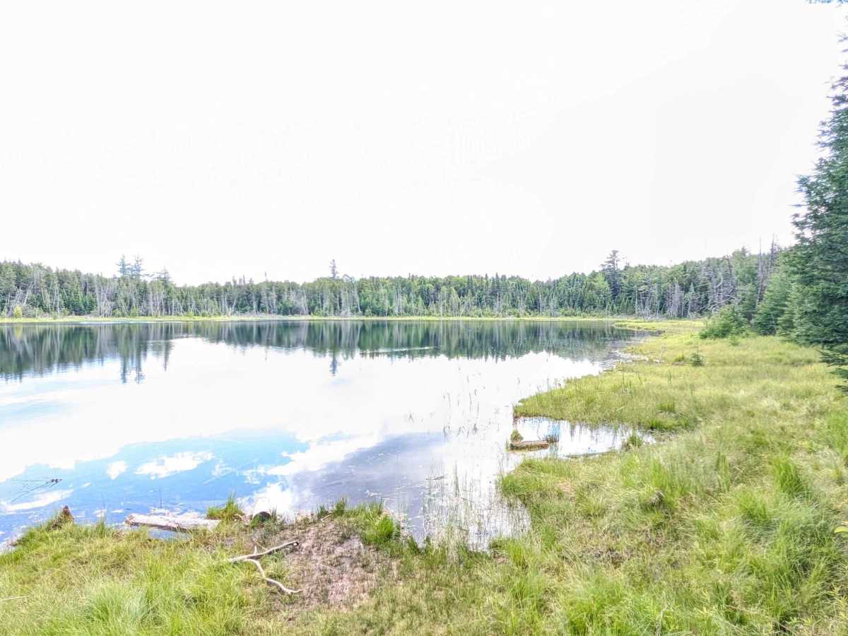 O'Brien Lake Road - FS 4061 trail photo